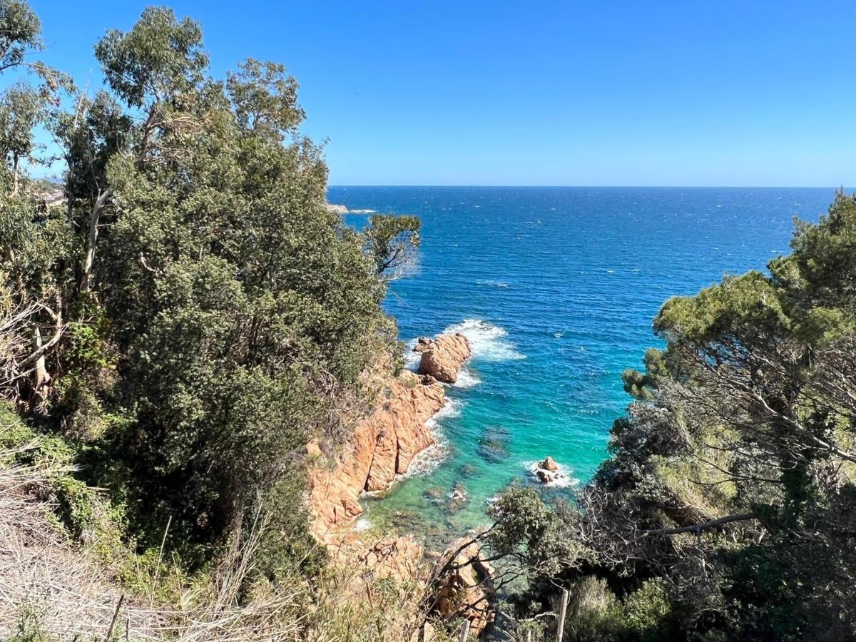 Family B&B Homefromhomees Sant Feliu de Guíxols Eksteriør bilde