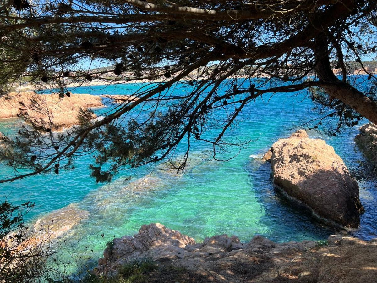 Family B&B Homefromhomees Sant Feliu de Guíxols Eksteriør bilde